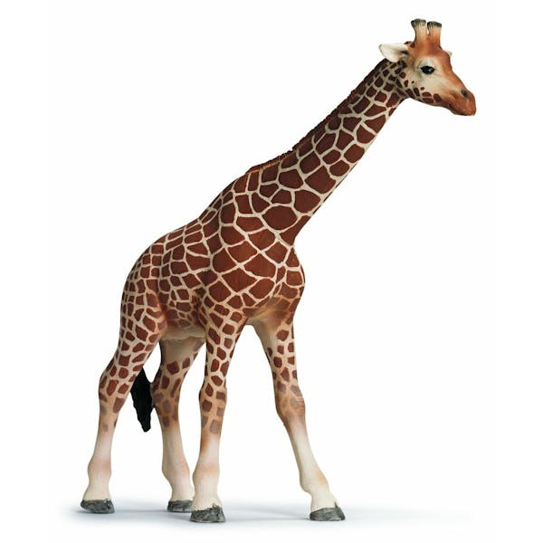 Schleich Wild Life Giraf Wijfje - 14750