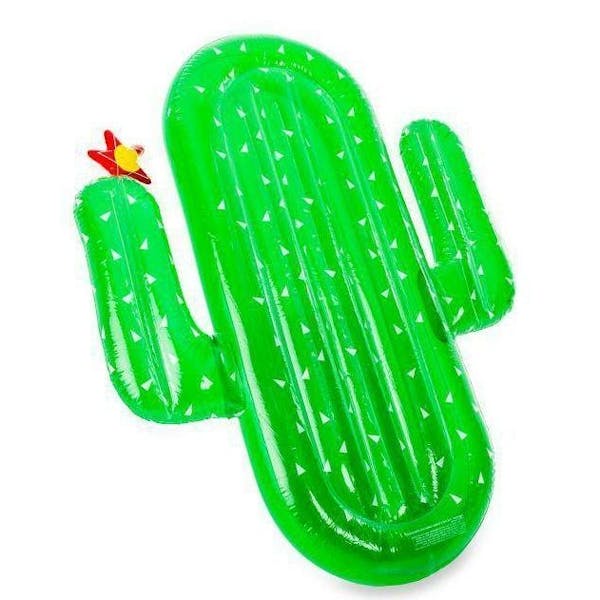 Opblaasbare Cactus