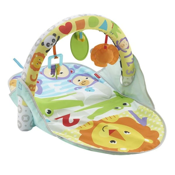 Fisher Price 2 In 1 Activity Gym